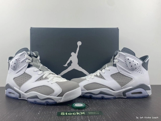 Jordan 6 Grey CT8529-100 Air Cool 0721